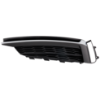 Picture of Fog Light Cover