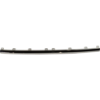 Picture of Bumper Trim