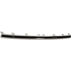 Picture of Bumper Trim
