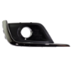 Picture of Fog Light Cover