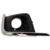 Picture of Fog Light Cover