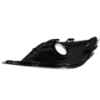 Picture of Fog Light Cover