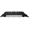 Picture of Bumper Grille
