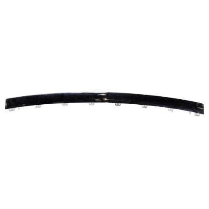 Picture of Bumper Trim