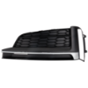Picture of Fog Light Cover