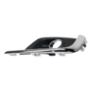 Picture of Fog Light Cover