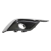 Picture of Fog Light Cover