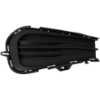 Picture of Fog Light Cover