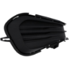 Picture of Fog Light Cover