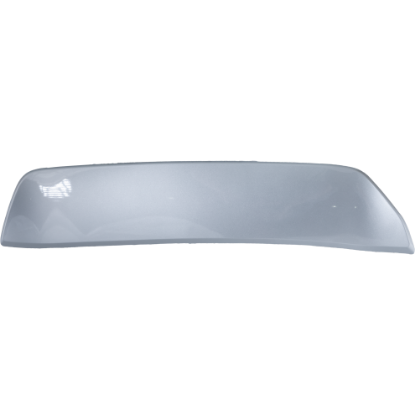 Picture of Bumper Trim