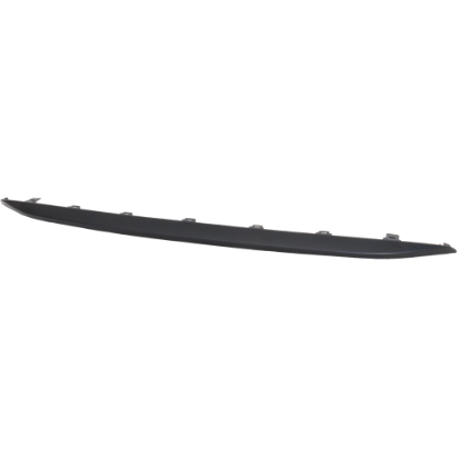 Picture of Bumper Trim