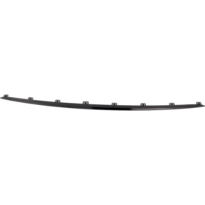Picture of Bumper Trim