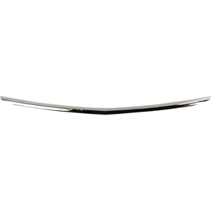 Picture of Bumper Trim