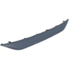 Picture of Bumper Trim