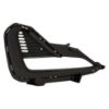 Picture of Fog Light Trim
