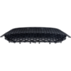 Picture of Bumper Grille