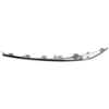 Picture of Bumper Trim