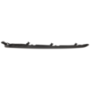 Picture of Grille Trim
