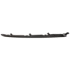 Picture of Grille Trim