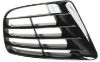 Picture of Bumper Grille
