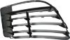 Picture of Bumper Grille
