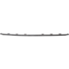 Picture of Bumper Trim