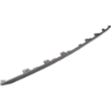 Picture of Bumper Trim