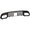 Picture of Bumper Grille