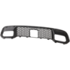 Picture of Bumper Grille