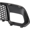 Picture of Bumper Grille