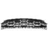 Picture of Grille Assembly