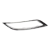 Picture of Bumper Trim