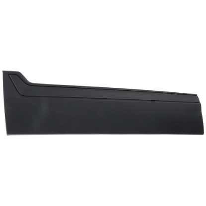 Picture of Door Molding and Beltlines