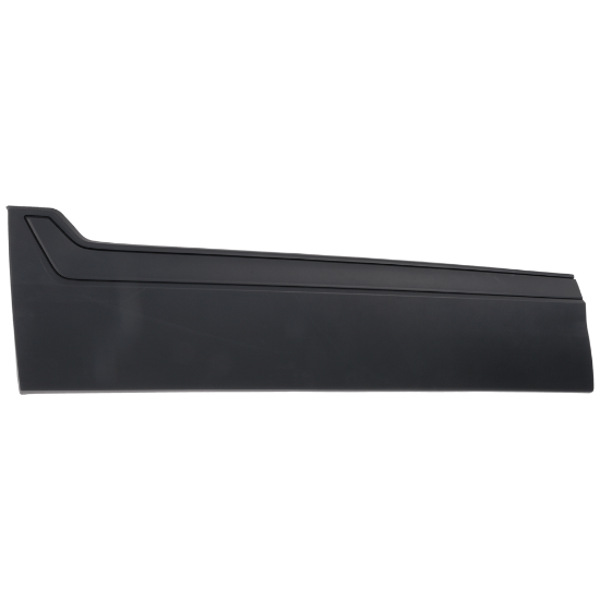 Picture of Door Molding and Beltlines