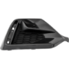 Picture of Bumper Trim