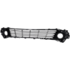Picture of Bumper Grille