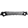 Picture of Bumper Grille
