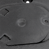 Picture of Engine Splash Shield