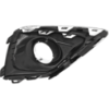 Picture of Fog Light Cover