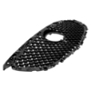 Picture of Grille Assembly