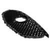 Picture of Grille Assembly