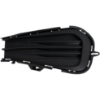 Picture of Fog Light Cover