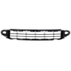 Picture of Bumper Grille