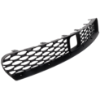 Picture of Bumper Grille