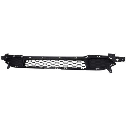 Picture of Bumper Grille