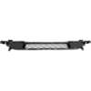 Picture of Bumper Grille
