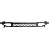 Picture of Bumper Grille