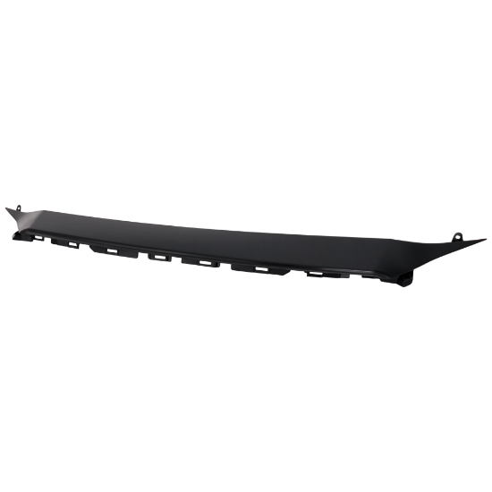 Picture of Bumper Trim