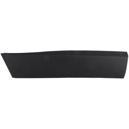 Picture of Door Molding and Beltlines