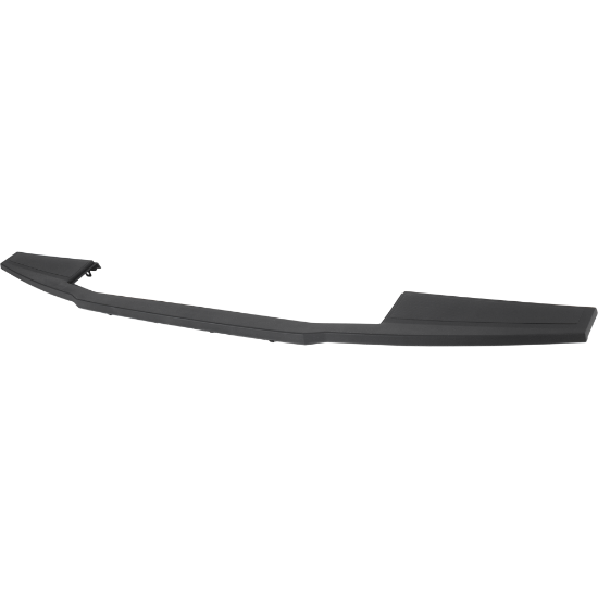 Picture of Tailgate Molding
